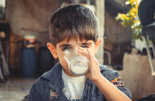 What Are the Benefits of Drinking Milk?